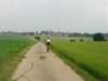 wout480_small.jpg