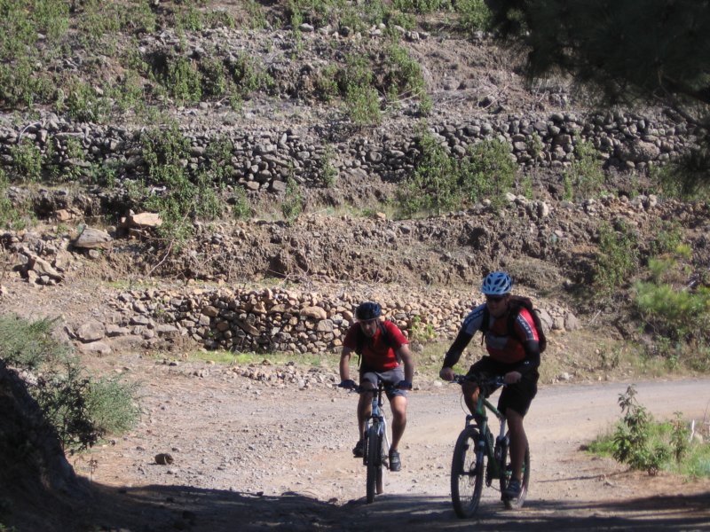 lapalma049.jpg