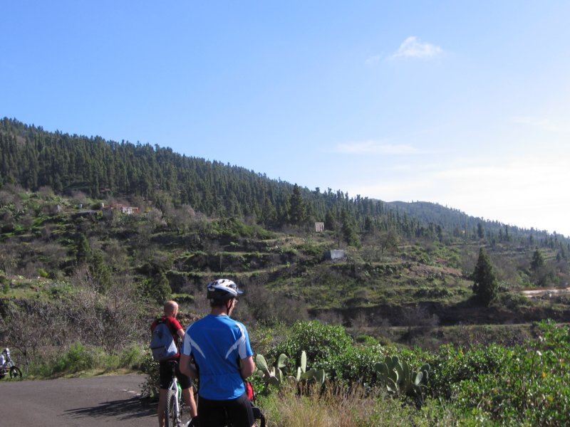 lapalma050.jpg