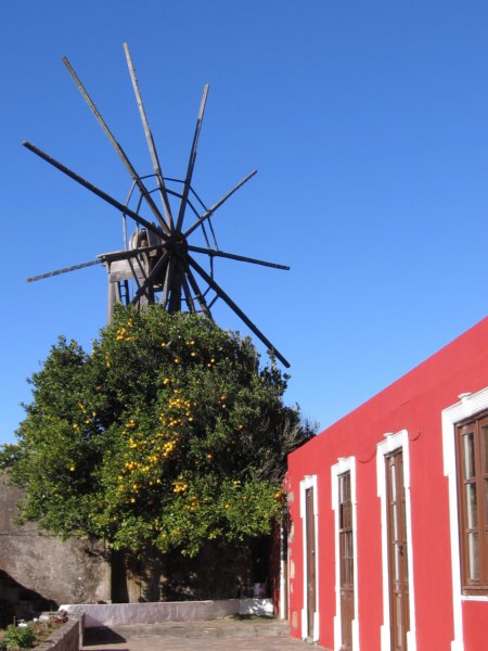lapalma086.jpg