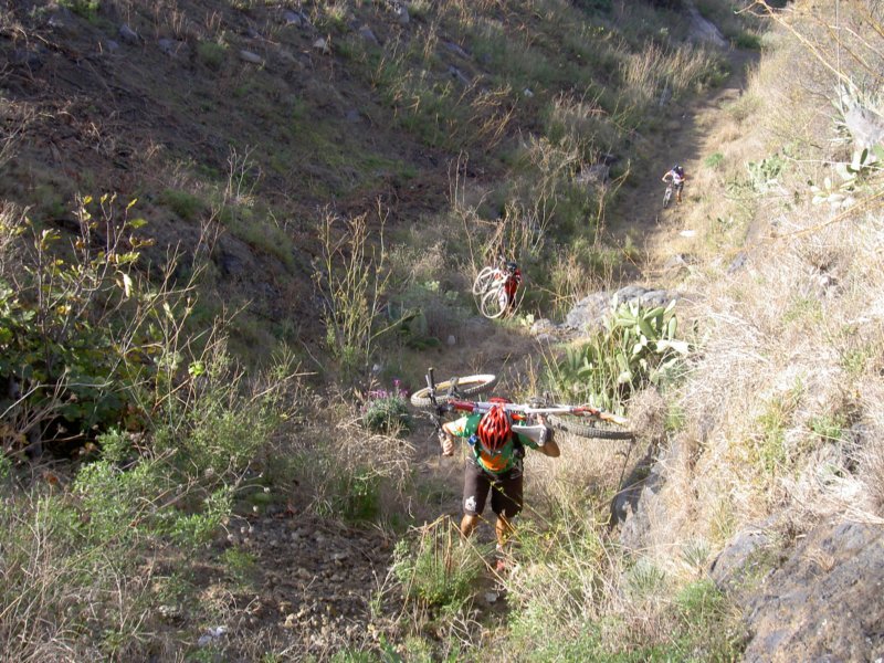 lapalma2007j083.jpg